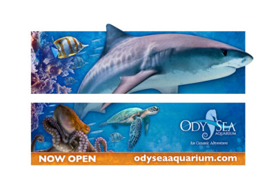 Billboard Design - Created with Adobe Creative Suite by CJ Mascarelli for OdySea Aquarium.